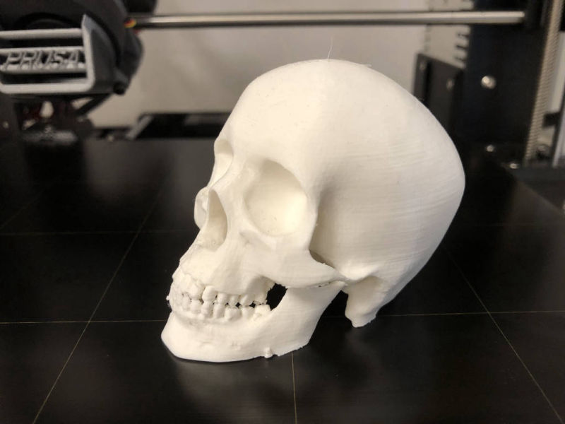 3d druck skull prototyp thumb